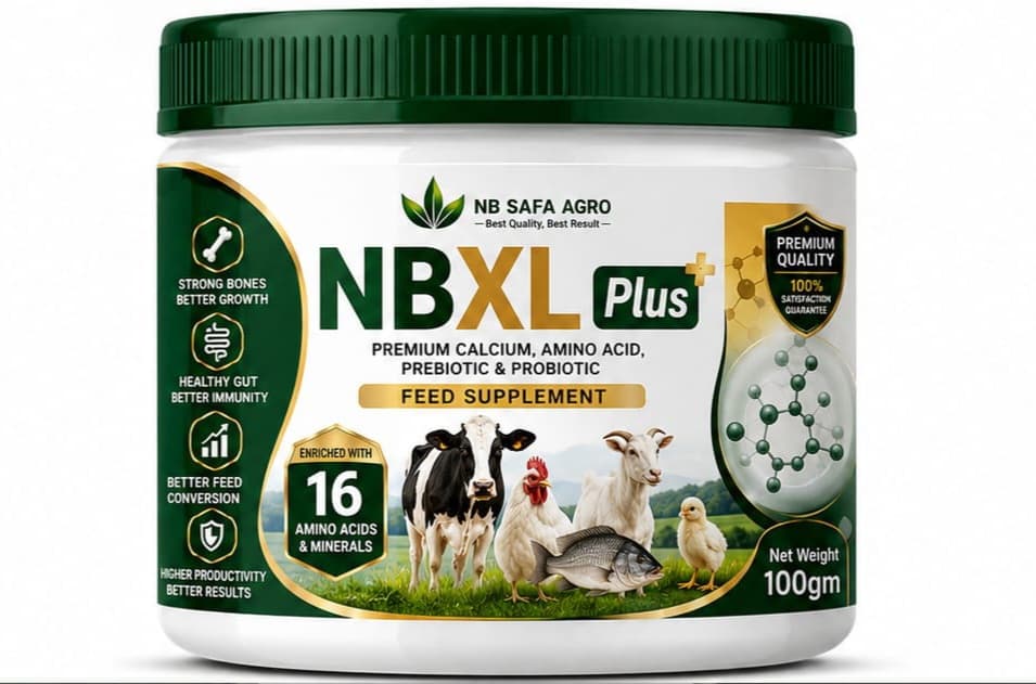 Premium NBXL Supliment For Cow Goat And Fish.